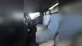 BYD Dolphin Mini - Miniatura 4