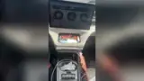 BYD Dolphin - Miniatura 7