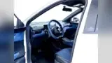 BYD Dolphin Mini - Miniatura 4