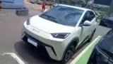 BYD Dolphin Mini - Miniatura 2