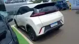 BYD Dolphin Mini - Miniatura 3