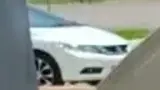 BYD Dolphin Mini - Miniatura 5