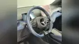 BYD Dolphin Mini - Miniatura 7