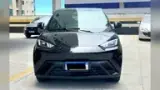 BYD Dolphin Mini - Miniatura 6