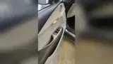 BYD Dolphin - Miniatura 16
