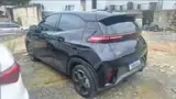 BYD Dolphin Mini - Miniatura 3