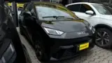 BYD Dolphin Mini - Miniatura 2