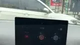 BYD Dolphin Mini - Miniatura 7