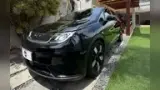 BYD Dolphin Plus - Miniatura 6
