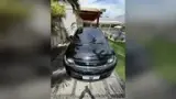 BYD Dolphin Plus - Miniatura 7