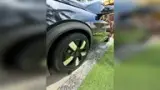 BYD Dolphin Plus - Miniatura 15