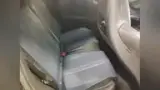 BYD Dolphin Mini - Miniatura 8