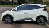 BYD Dolphin Mini - Miniatura 3