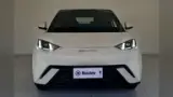 BYD Dolphin Mini - Miniatura 1