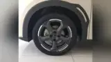 BYD Dolphin Mini - Miniatura 5