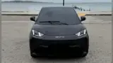 BYD Dolphin Mini - Miniatura 1