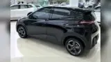 BYD Dolphin Mini - Miniatura 8