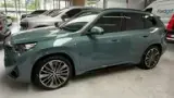 BMW IX1 - Miniatura 2
