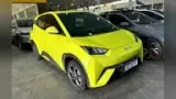 BYD Dolphin Mini - Miniatura 1
