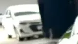 BYD Dolphin Mini - Miniatura 3