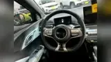 BYD Dolphin Mini - Miniatura 8