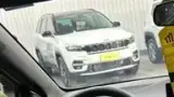 BYD Dolphin Mini - Miniatura 13
