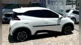 BYD Dolphin Mini - Miniatura 4
