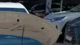 BYD Dolphin Mini - Miniatura 14