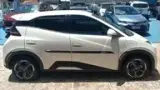 BYD Dolphin Mini - Miniatura 17