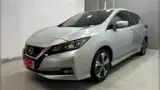 Nissan Leaf - Miniatura 1