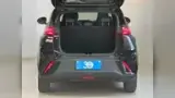 BYD Dolphin Mini - Miniatura 7