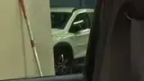 BYD Dolphin Mini - Miniatura 18