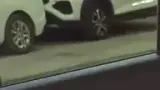 BYD Dolphin Mini - Miniatura 19