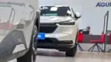 BYD Dolphin Mini - Miniatura 2