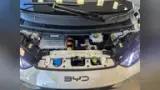BYD Dolphin Mini - Miniatura 6