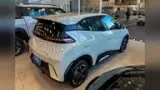 BYD Dolphin Mini - Miniatura 10