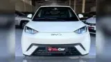 BYD Dolphin Mini - Miniatura 2