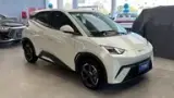 BYD Dolphin Mini - Miniatura 4