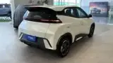 BYD Dolphin Mini - Miniatura 9