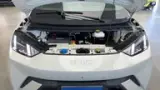 BYD Dolphin Mini - Miniatura 5
