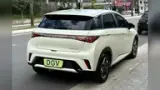 BYD Dolphin - Miniatura 3