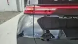 BYD Dolphin Mini - Miniatura 10