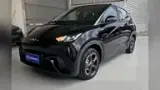 BYD Dolphin Mini - Miniatura 16