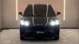 BYD Dolphin Mini - Miniatura 2