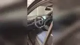 BYD Dolphin Mini - Miniatura 8