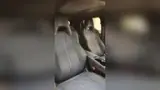 BYD Dolphin Mini - Miniatura 11