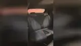 BYD Dolphin Mini - Miniatura 12