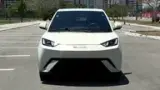 BYD Dolphin Mini - Miniatura 2