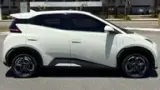 BYD Dolphin Mini - Miniatura 4
