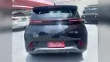 BYD Dolphin - Miniatura 9
